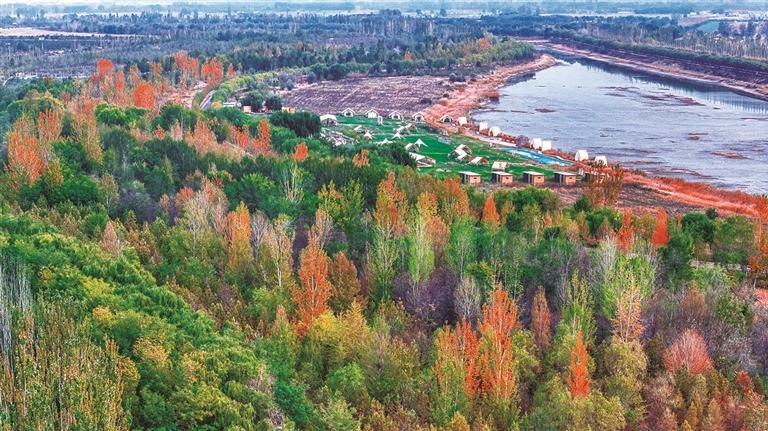 誰為湖城織秋錦